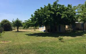 Vonkajšia záhrada v ubytovaní Appartements bord de mer - Accès privé à la plage