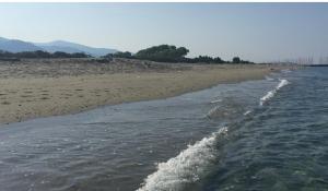 een strand met een waterlichaam en een kustlijn bij Appartements bord de mer - Accès privé à la plage in Prunete