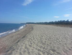 een strand met een lange lijn van voetafdrukken in het zand bij Appartements bord de mer - Accès privé à la plage in Prunete