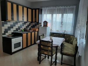 Kuchyň nebo kuchyňský kout v ubytování Guesthouse Lula 2