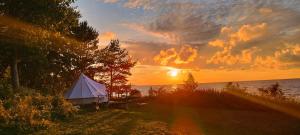 Příroda nedaleko luxury tent