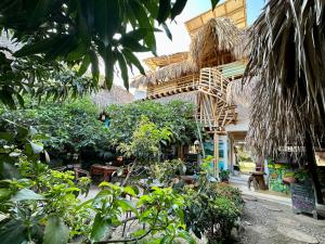 a building with a lot of trees and plants at Bella Flor Hostel Palomino in Palomino