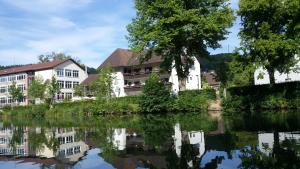 a view of a river in front of buildings at Hotel Schiff Nagold in Nagold