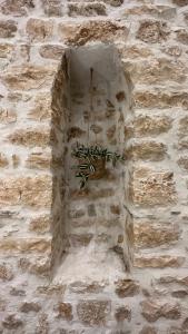 una planta en una cesta en una pared de piedra en Celestia Home, en Ioannina