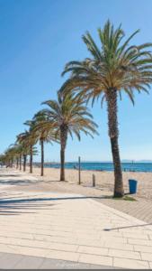 a row of palm trees on a sandy beach at BEL APPARTEMENT ROSES PLAGE in Roses