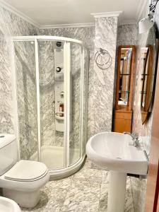a bathroom with a shower and a toilet and a sink at APARTAMENTO CARMEN in Gijón