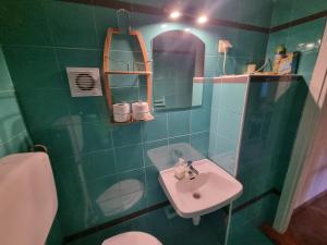 a green bathroom with a sink and a mirror at Atelier apartment in Krasica