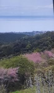 a view from the top of a hill with trees at ΠΑΝΟΡΑΜΑ in Aigáni