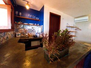 uma cozinha com paredes azuis e uma mesa com uma planta em Villa Giulia Morro Residence em Morro de São Paulo