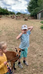 a young boy standing next to a small goat at Bauernhof-Streichel-Zoo-&-Reiter-Suite in Gulow
