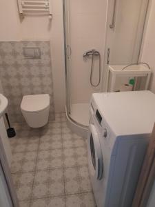 索斯諾維茨的住宿－Ali4，一间带卫生间和洗衣机的浴室