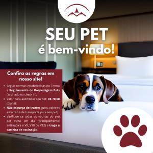 a flyer with a dog laying on a bed at Monthez Hotel & Eventos in Brusque