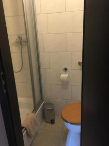 a small bathroom with a toilet and a shower at Dein Hotel Suite Wellness in Hahnenklee-Bockswiese