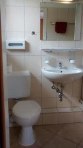 a bathroom with a toilet and a sink at Dein Hotel Suite Wellness in Hahnenklee-Bockswiese