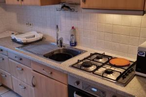 blat kuchenny z kuchenką i zlewem w obiekcie Cosy Rent Strasbourg Garage Wifi Terrasse Dream Host Romain w Strasburgu