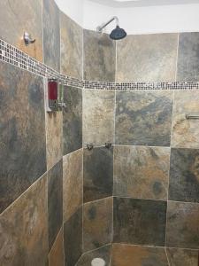 a bathroom with a shower with a tiled shower at EL GRAN TORIL in Taxco de Alarcón