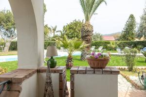 Un patio con una mesa con lámpara y palmeras. en 3-Casa sul mare con piscina vicino Cefalù, en Campofelice di Roccella