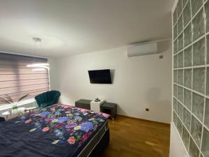 トゥズラにあるGreco Apartman Stupine B10のベッドと壁掛けテレビのある寝室