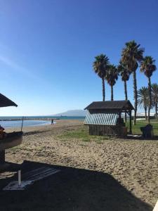 a beach with palm trees and a building on it at Estudio 4 en playa del Palo in Málaga