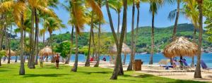 una playa con palmeras y un cuerpo de agua en Studio Ti Coco, en Sainte-Anne