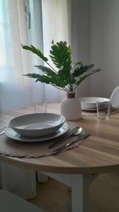 een tafel met platen en een potplant erop bij Rinconcito en el almendral in Jaén