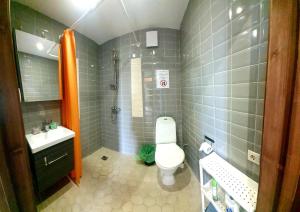 ein Bad mit einem WC und einem Waschbecken in der Unterkunft ApartmentApsuciems in Apšuciems