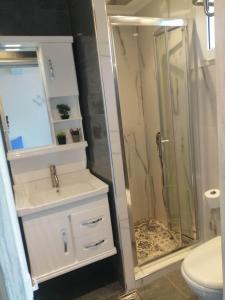uma casa de banho com um chuveiro, um lavatório e um WC. em Manolis&Xenia em Kefalos