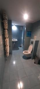 La salle de bains est pourvue de toilettes et d'un lavabo. dans l'établissement Pokoje Gościnne Kurza Zagroda, à Jelenia Góra