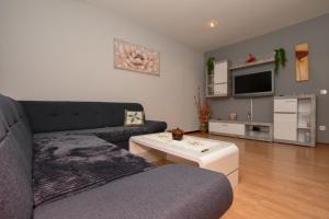 - un salon avec un canapé et une télévision dans l'établissement Apartment Camelia, à Poreč