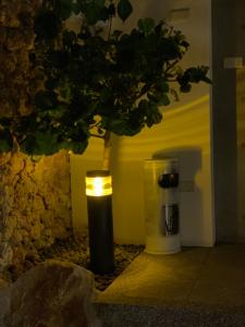 a tree in a room with a light next to a coffee machine at 砝泥民宿 12位包棟6間雙人房訂房前加line 有優惠 in Magong