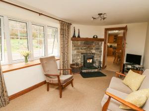 a living room with a couch and a fireplace at Cefn Cottage in Llangurig