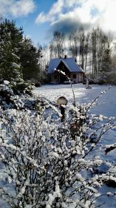 Siedlisko Gruszki Puszcza Białowieska om vinteren