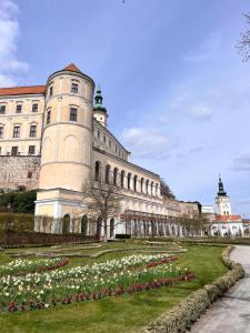 Zahrada ubytování Apartmány Koněvova