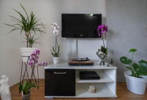 a living room with plants and a tv on a wall at The view of Kotor - Sea & Old town view in Kotor +10 photos