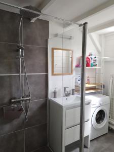 W łazience znajduje się prysznic, umywalka i pralka. w obiekcie Bungalow indépendant à Dalciat Baie-Mahault w mieście Baie-Mahault