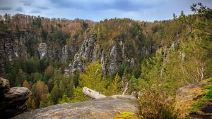 uma vista para uma montanha com árvores e rochas em Ferienwohnung zum Sebnitzer Hirsch em Sebnitz