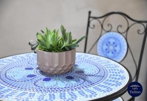 Fotografie z fotogalerie ubytování B&B Talino v destinaci Trani