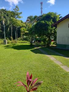 une plante rose au milieu d'un champ d'herbe dans l'établissement Pousada Porto Aventura -Chalés da Luci, à Peruíbe