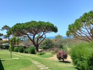 un jardin avec un arbre et un sentier dans l'établissement PARADISE ON THE BEACH, à Albufeira