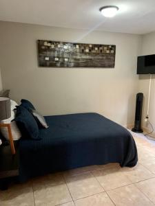 een slaapkamer met een bed met een blauwe deken bij soler 18 in Tijuana