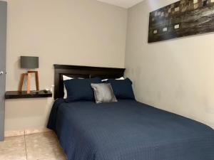 a bedroom with a bed with a blue comforter at soler 18 in Tijuana
