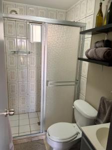 a bathroom with a shower with a toilet and a sink at soler 18 in Tijuana