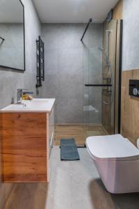 a bathroom with a shower and a toilet and a sink at Apartamenty Pod Wyciągiem in Wisła