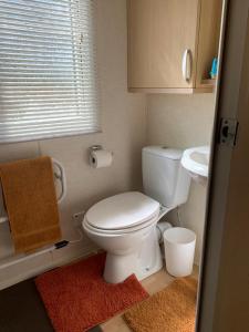 a small bathroom with a toilet and a sink at Tyn llan in Llanddeusant
