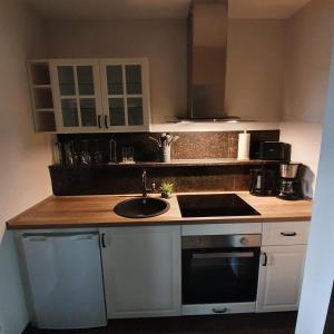 a kitchen with a sink and a counter top at Ferienapartment Lilo in Eisenhüttenstadt
