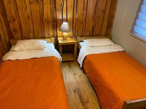Gallery image of Ruka Pucón Hostel in Pucón +58 photos
