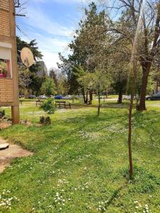 a park with a small tree in the grass at Olympia's apartment in Skopje