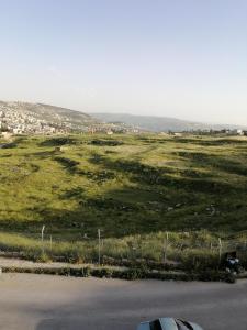 a car parked on a road next to a field at Elegant housing in Jerash