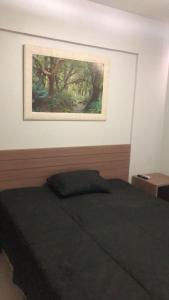 リオ・ケンテにあるVeredas do Rio Quente Hotel Serviceのベッドルーム1室(壁に絵画が描かれたベッド1台付)