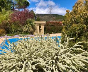 Bazén v ubytování Logement classé 4 étoiles avec SAUNA et vue sur le Canigou nebo v jeho okolí